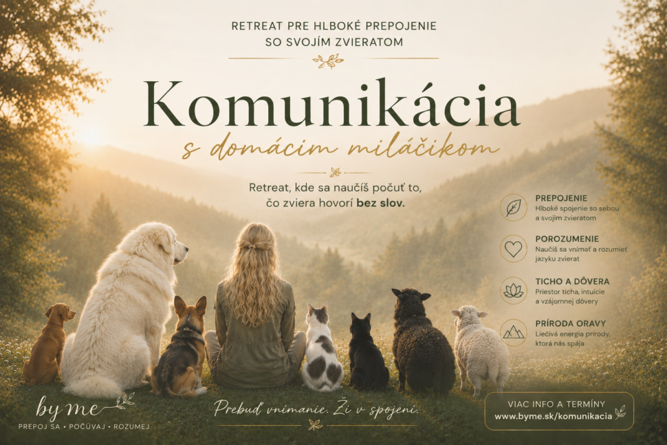 retreat-komunikacia-so-zvieratom-sandra-kos-dzian.jpg