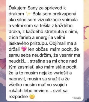sany-asia-recenzia.jpg