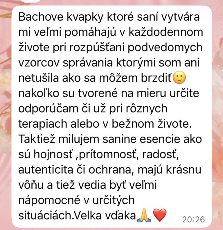 sany-asia-recenzia.jpg