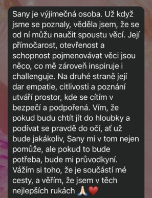 recenzia-sany-asia.jpg