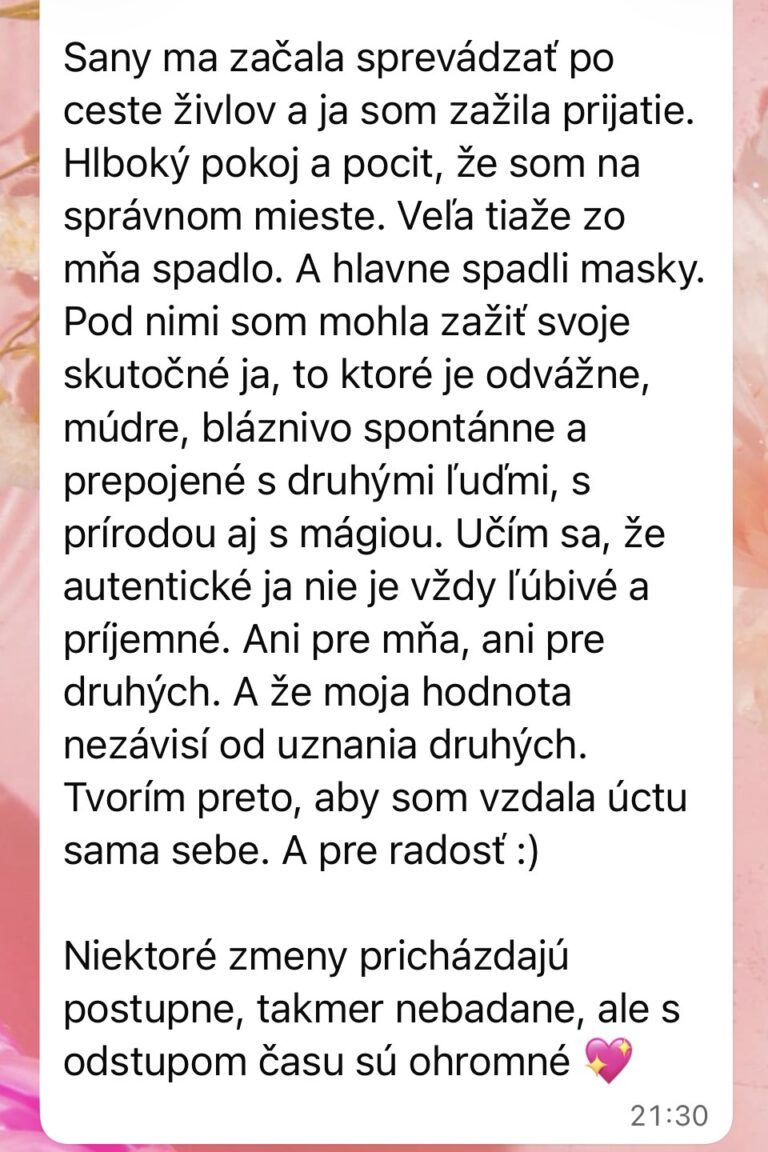 sany-asia-recenzia.jpg