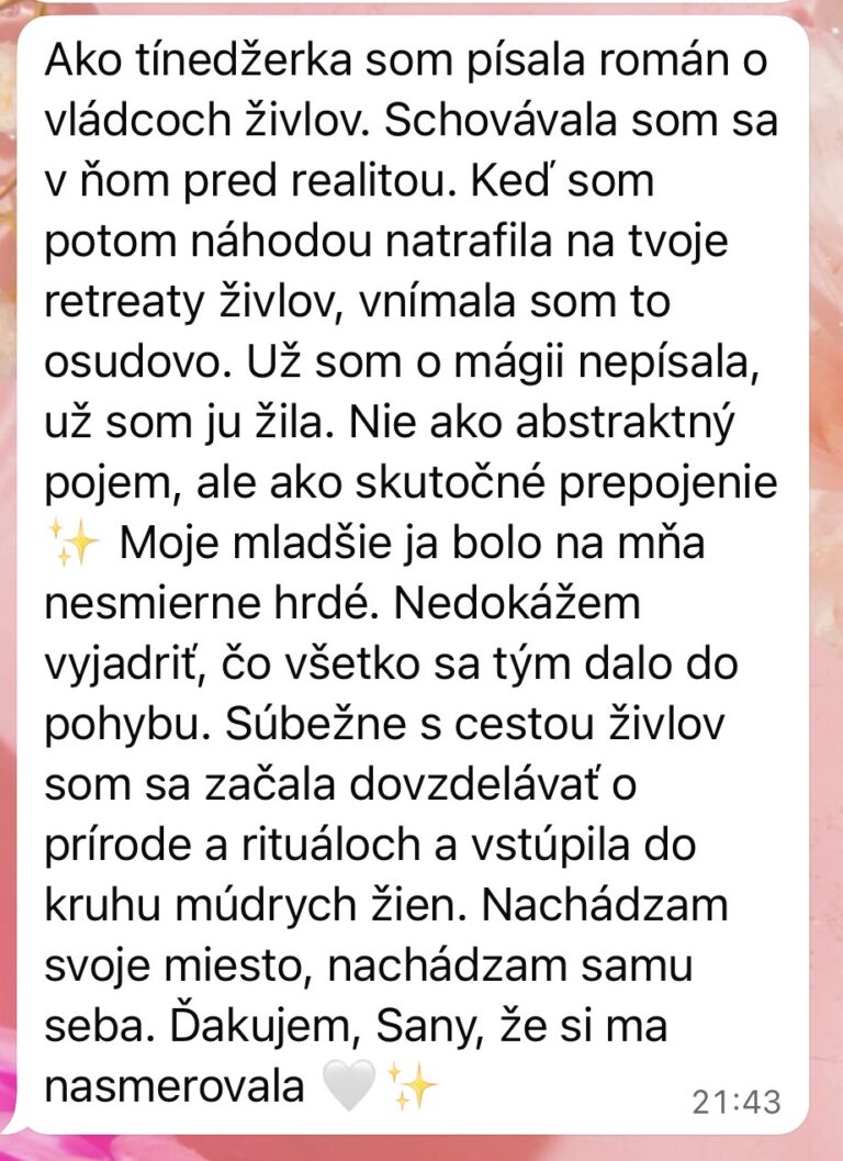 sany-asia-recenzia.jpg