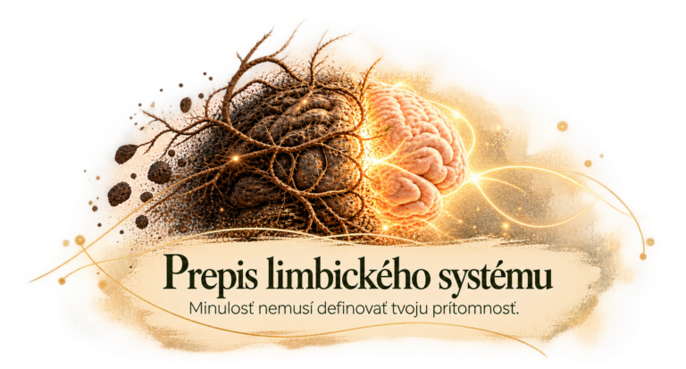 prepis-limbickeho-systemu-otlacku-sandra-kos-dzian-kurz-online.jpg